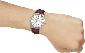 CASIO A1954