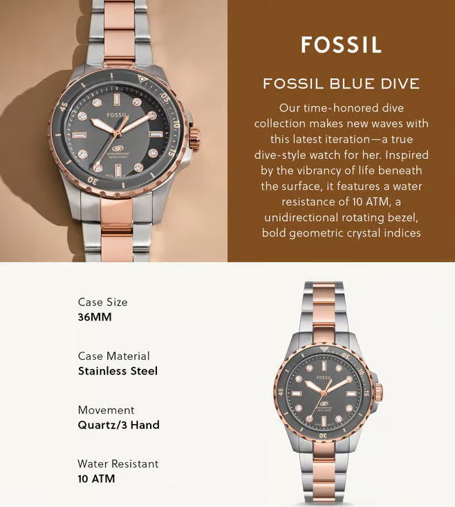 FOSSIL ES5348