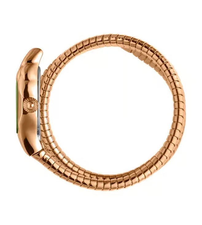 JUST CAVALLI JC1L022M0165