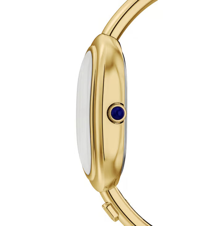 FOSSIL ES5456