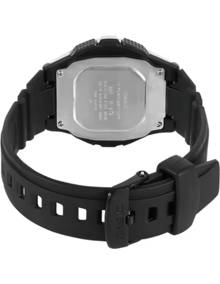 CASIO D065