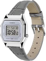 CASIO D424