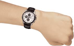 CASIO EX097