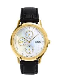 CASIO A2495