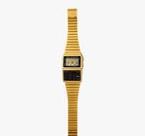 CASIO D211