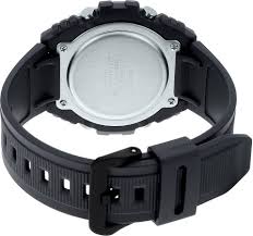 CASIO D191