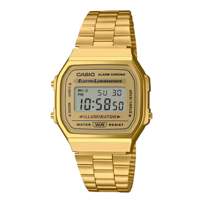 CASIO D169
