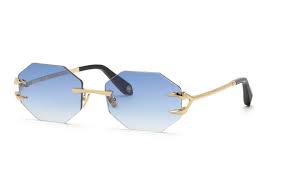 ROBERTO CAVALLI RC005 300B