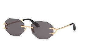 ROBERTO CAVALLI RC005 300