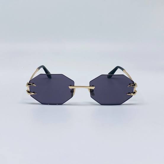 ROBERTO CAVALLI RC005 300