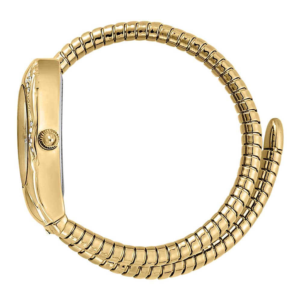 JUST CAVALLI JC1L183M0025